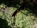 point_reyes_41