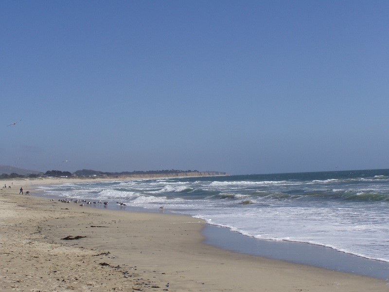 venice_beach_20040612_13.jpg