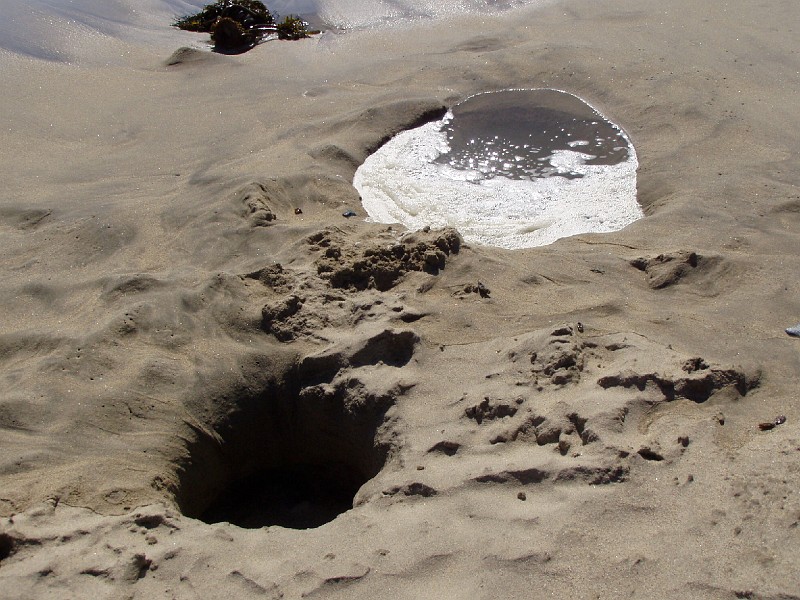venice_beach_20040612_15.jpg