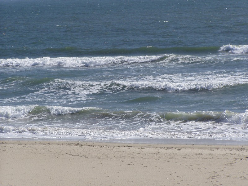 venice_beach_20040612_35.jpg