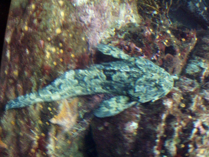 monteray14.jpg