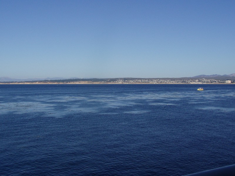 monteray34.jpg