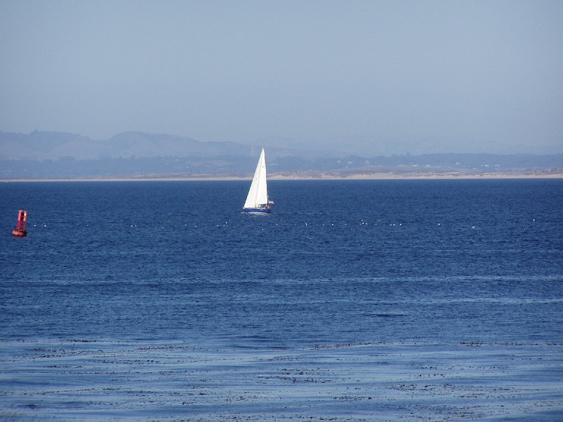 monteray37.jpg