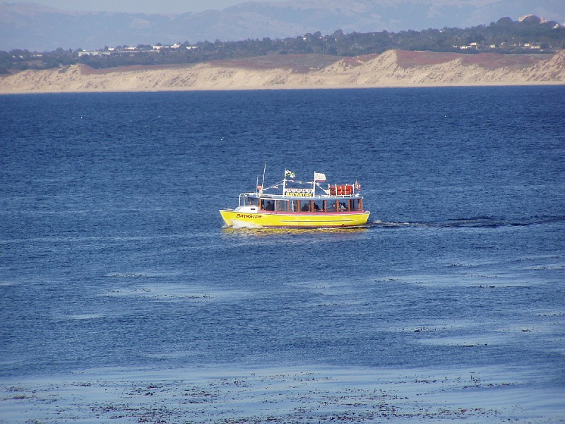 monteray38.jpg