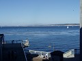 monteray19