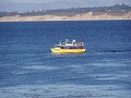 monteray38