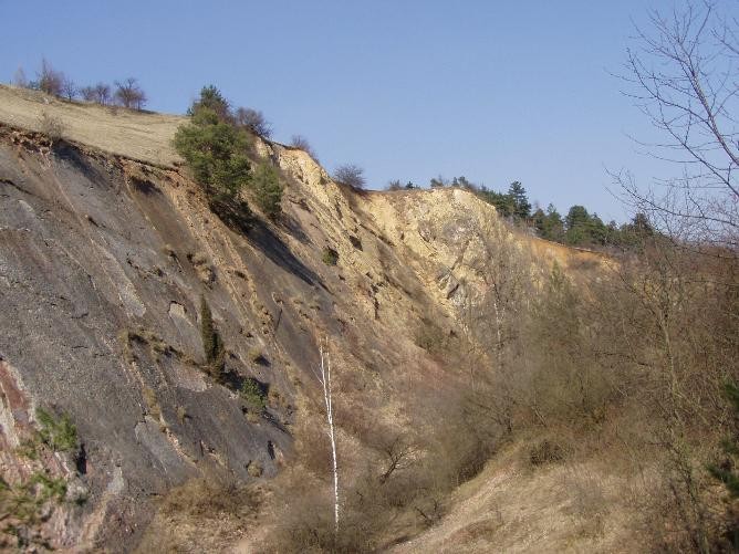 prague20060408_conservation_geology084.jpg