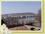 prague20060408_vsyhrad057