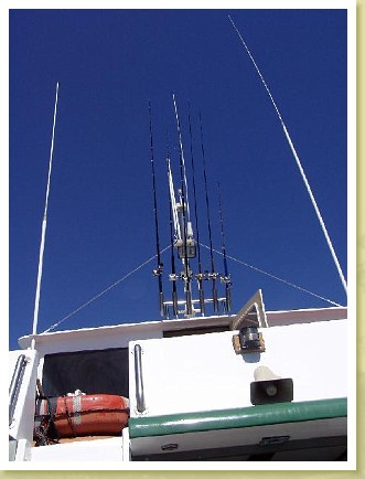 007_fishing_poles.jpg