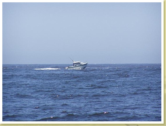 038_fishing_boat.jpg
