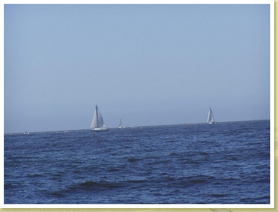 041_sail_boats.jpg
