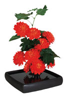 cuzco bowl with flowers