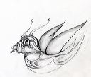bird_drawing72