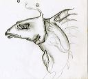 fishead