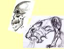 skull_and_cat