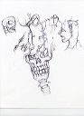 skull_sketch