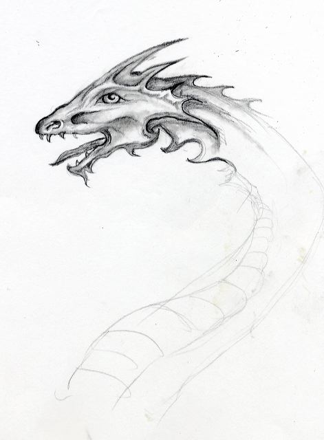 shaded_dragon_300.jpg