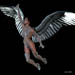 flight