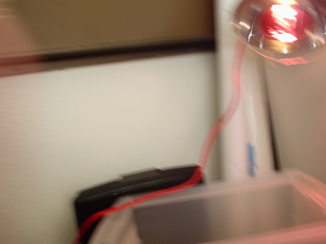 P1010014.JPG