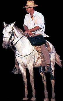 man_horse.jpg (15469 bytes)