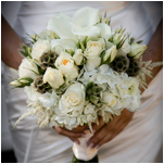 Sonoma wedding photographers