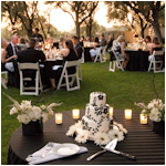 sonoma county wedding photography