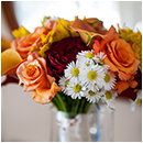 sonoma county wedding photographer