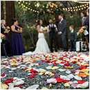 sonoma county wedding photography