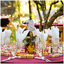marin county wedding photographer