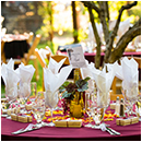 sonoma county wedding photographers