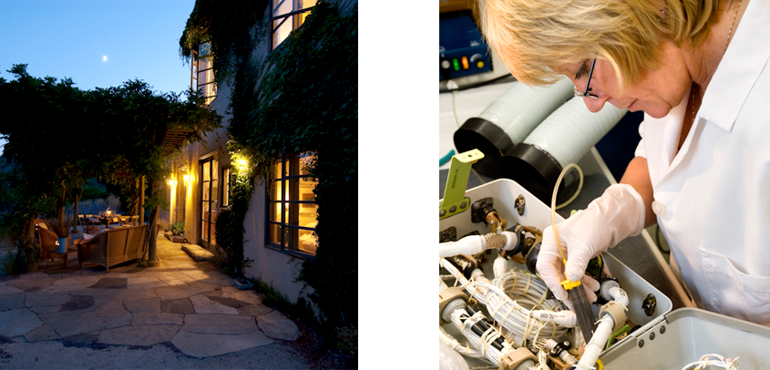Sonoma commercial Photography