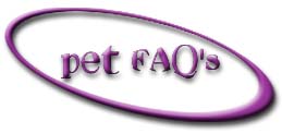 Pet Faq's