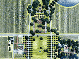 Kellog Complex