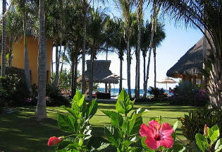 Lush tropical landscaping.