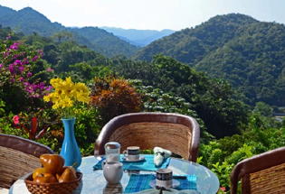 Terrace with view of jungle.