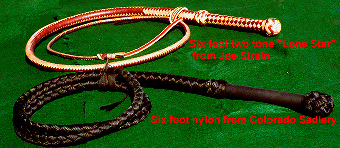 2whips.jpg
