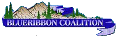 Blue Ribbon
