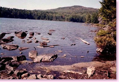 Mountain View Pond