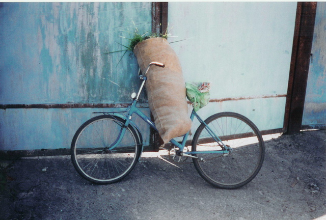 onionmobile
