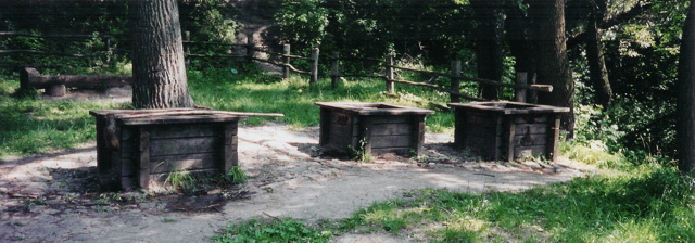 wells for three wishes