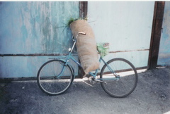onionmobile
