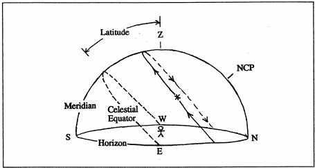 [Figure 2]