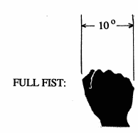 [Fist]