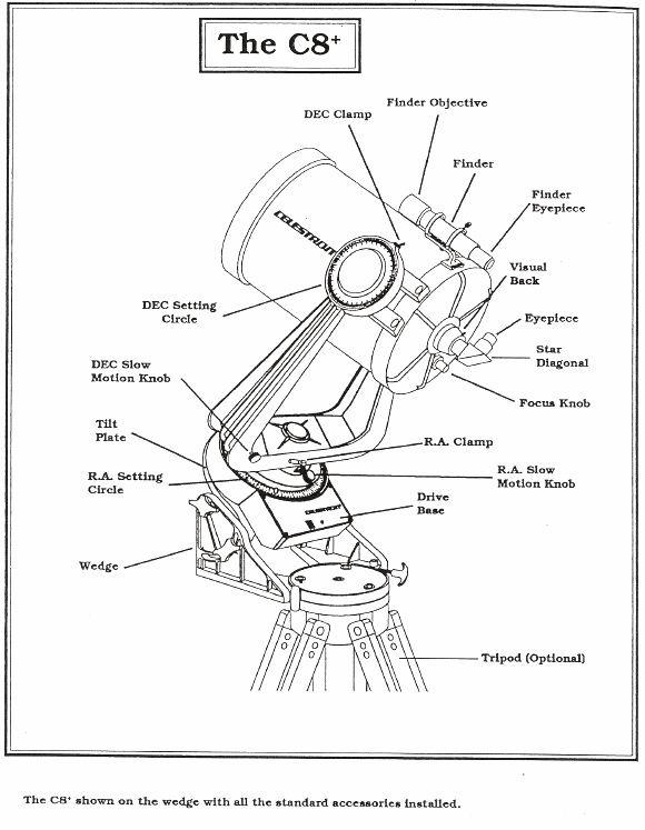 [Figure 1]