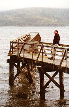timpier.jpg (27257 bytes)