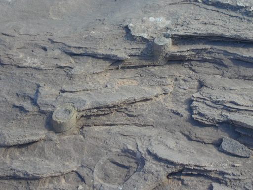 Petrified Dunes