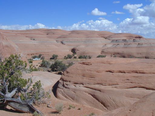 Petrified Dunes