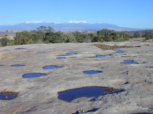 Canyonlands - Potholes, La Sal Mtns.