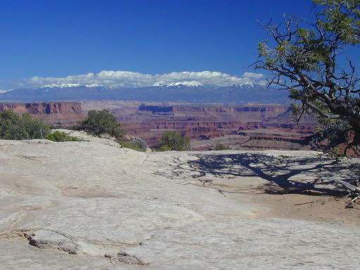 Canyonlands - La Sal Mtns