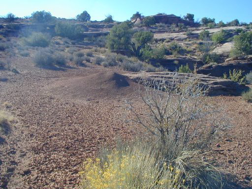 Canyonlands - Road out